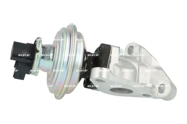 zawor-egr-48650-nrf