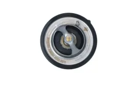 termostat-725201-nrf