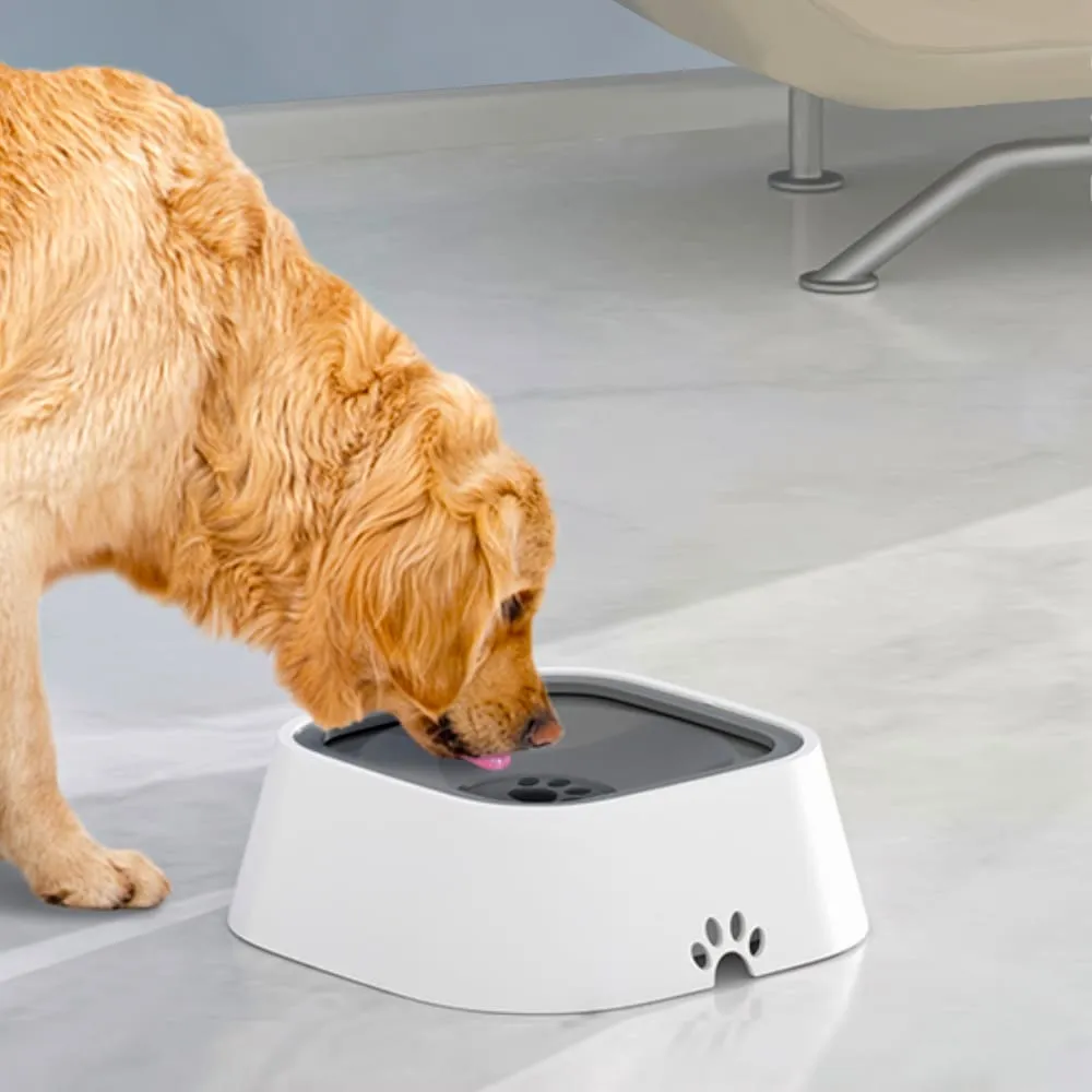 miska-niechlapiaca-dla-psa