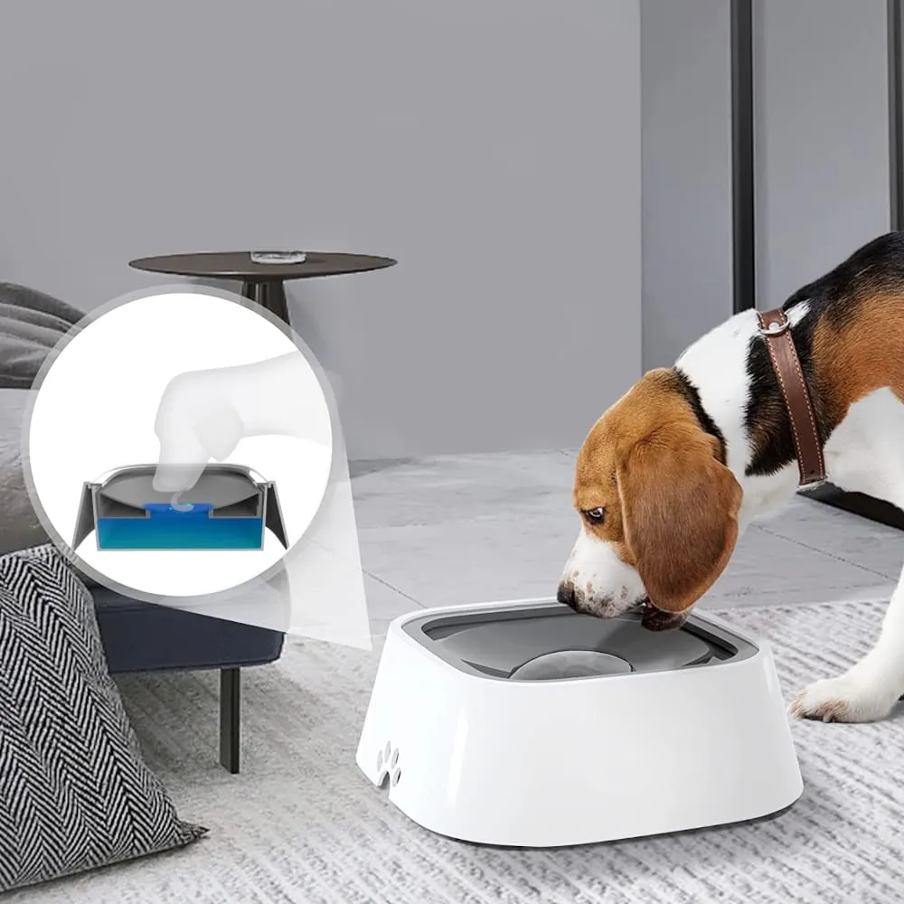 miska-niechlapiaca-dla-psa