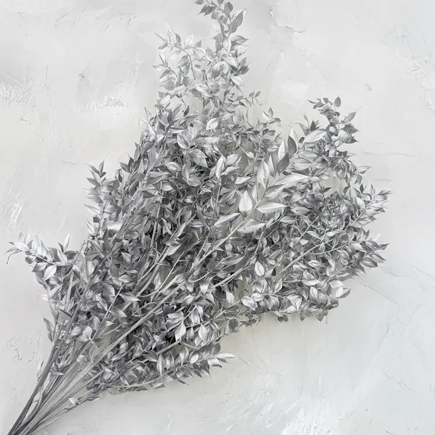 ruskus-suszony-ruscus-srebrny-wysokosc-maksymalna-60-cm