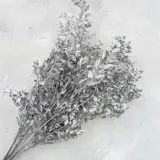 ruskus-suszony-ruscus-srebrny-wysokosc-maksymalna-60-cm