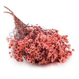 oxodia-suszona-lososiowa