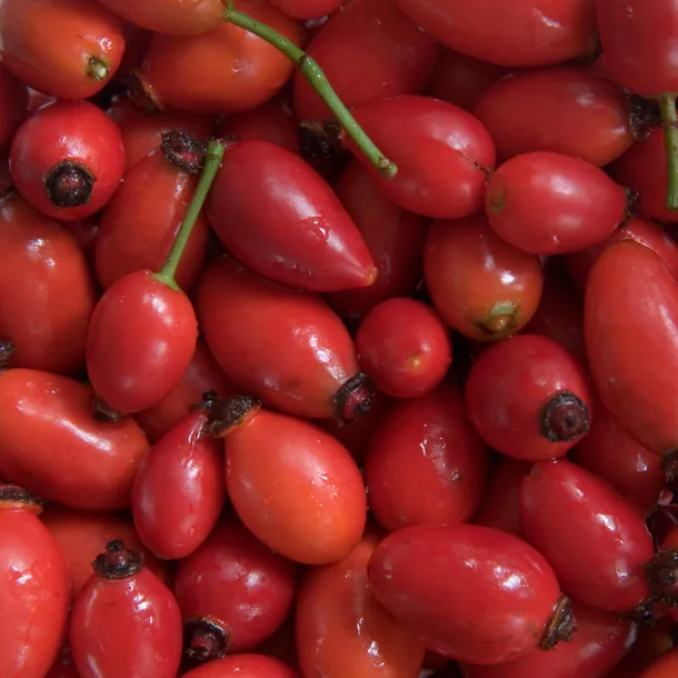 rosehip-150g-this-is-bio-postac-proszek-stan-nowy