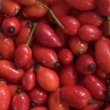 rosehip-150g-this-is-bio-postac-proszek-stan-nowy