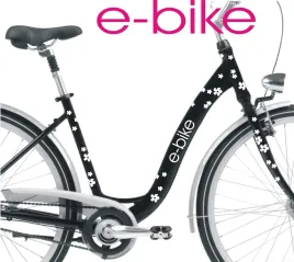 e-bike-kwiatki-45szt-naklejki-na-rower-damski-miejski-damka-holender