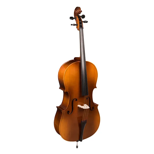 hora-c100-student-all-solid-wiolonczela-3-4