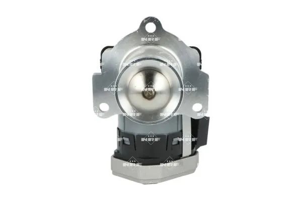 zawor-egr-48730-nrf