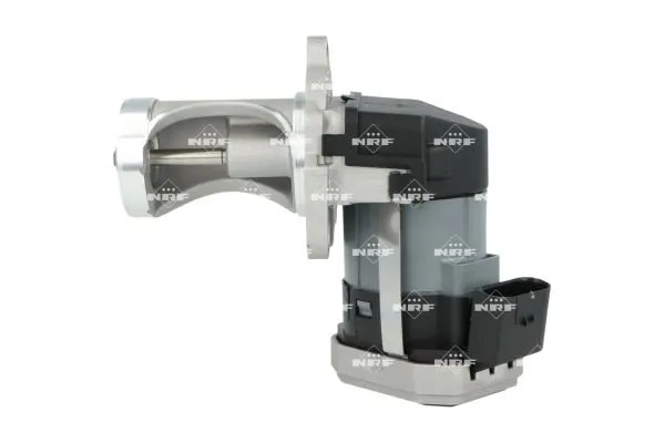 zawor-egr-48730-nrf