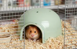 zolux-cosy-domek-igloo-male-kryjowka-dla-gryzoni