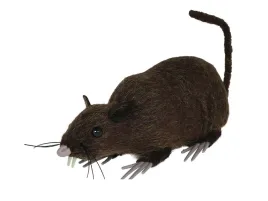 szczur-na-halloween-15-cm-1-szt