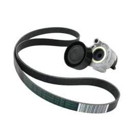napinacz-pasek-alternator-renault-clio-ii-iii-iv
