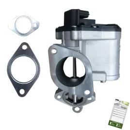 zawor-spalin-do-renault-laguna-ii-1-9dci-megane
