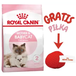 royal-canin-motherandbabycat-4kg-karma-sucha-dla-kotek-w-okresie-ciazy-lakt