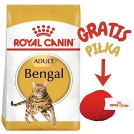 royal-canin-bengal-adult-10kg-karma-sucha-dla-kotow-doroslych-rasy-bengal