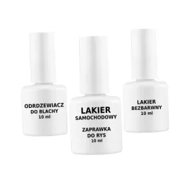 lakier-do-citroen-ewp-blanc-banquise