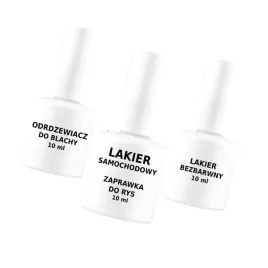 lakier-do-vw-r7l-lr7l-7b-srebrny-leaf-white-gold
