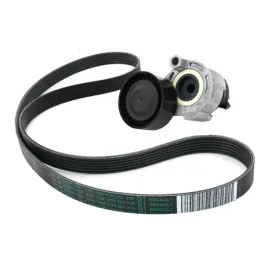 napinacz-pasek-alternatora-renault-clio-grandtour-2008-2009-2010-2011-2012