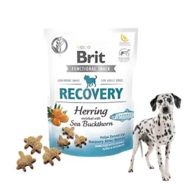 brit-care-functional-snack-recovery-150g-przysmak-dla-psa-z-rokitnikiem