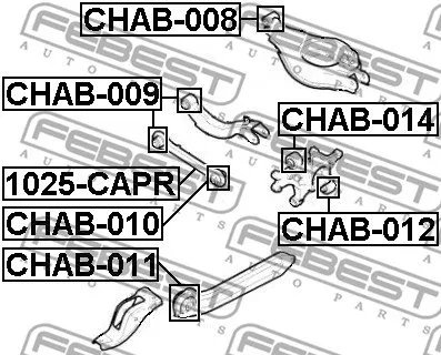 drazek-tyl-1025-capr-fbs
