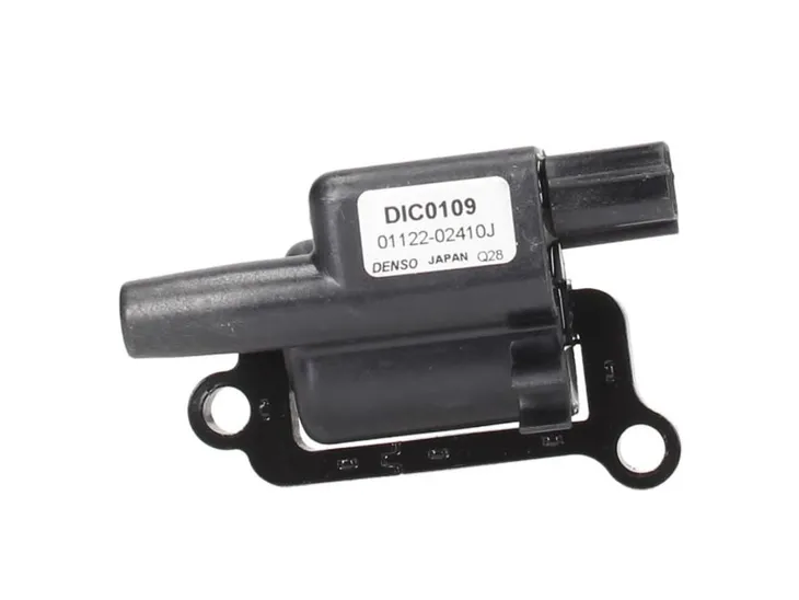 cewka-zaplonowa-dic-0109-den