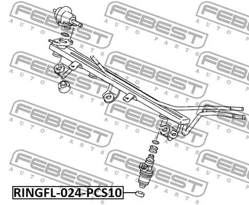 o-ring-ringfl-024-pcs10-fbs