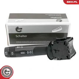 przelacznik-zespolony-38skv569-skv