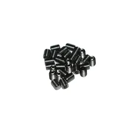 m5x8-mm-wkret-dociskowy-plaski-a2-robaczek-nierdzewny-10-szt