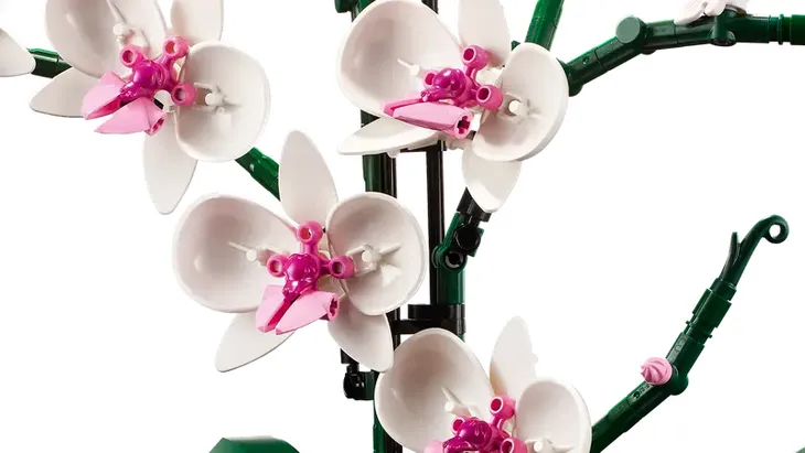 lego-botanicals-10311-orchidea-wiek-dziecka-18-lat