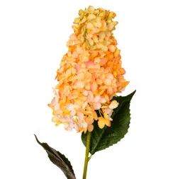 hortensja-bukietowa-zolta-galaz-79cm