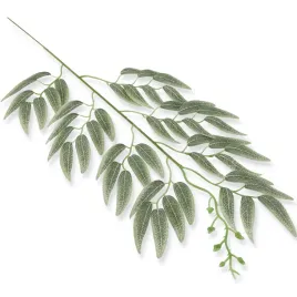 ruskus-galazka-zielona