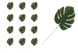 lisc-monstera-x12