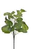 pelargonia-bukiet-lisci