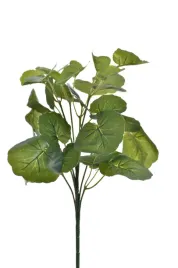 pelargonia-bukiet-lisci