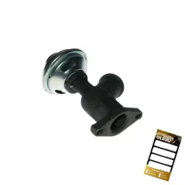 zawor-egr-do-citroen-fiat-lancia-peugeot-suzuki