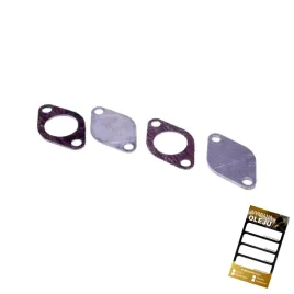 zestaw-naprawczy-egr-vag-1-4-1-9-2-0-2-5-tdi