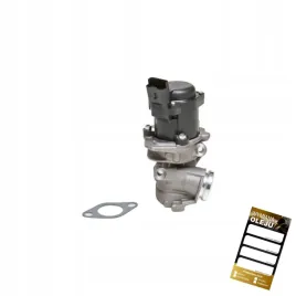 zawor-egr-citroen-peugeot-toyota-zamiennik-1618n8