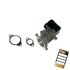 zawor-egr-ford-lancia-peugeot-volvo