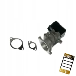 zawor-egr-citroen-fiat-ford-zamiennik-9656612380