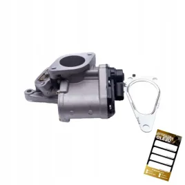 zawor-egr-renault-megane-scenic-2-1-9-dci