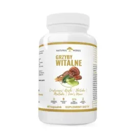 natural-herbs-grzyby-witalne-cordycepsor-reishi-or-shiitake-or-maitake-or-lio