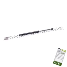 silownik-tylnej-klapy-renault-twingo-ii-2007-2008-2016-2010-2011-2012-2013