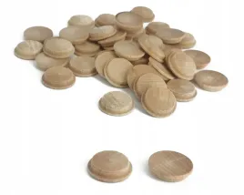 zaslepka-drewniana-fi-20-buk