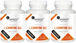 zestaw-3x-l-carnityne-500mg-100-kaps-pamiec-uklad-nerwowy-funkcje-poznawcze