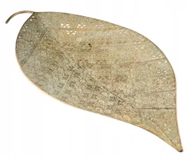 patera-zlota-lisc