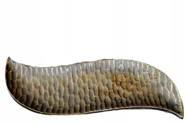 patera-czarno-zlota-40x14cm