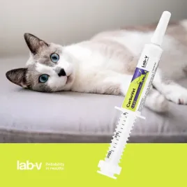 lab-v-carbovet-cat-preparat-o-wlasciwosciach-odtruwajacych-dla-kotow-10ml