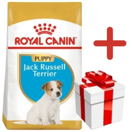 royal-canin-jack-russell-terrier-puppy-3kg-karma-sucha-dla-szczeniat-do-10