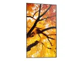 monitor-digital-signage-sharp-m552-55-lcd-24-7-klasa-efektywnosci-energetycznej-g