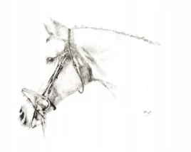 naklejka-na-samochod-do-stajni-rysunek-6-glowa-konia-oglowie-czarna